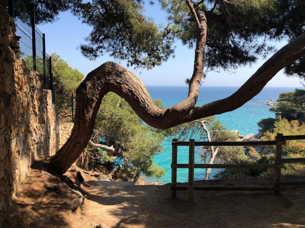 Excepcional 1ª Linea De Mar Platja D'Aro Elypalace 10-2 Екстериор снимка